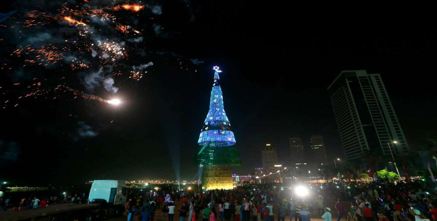 Worlds tallest Christmas Tree