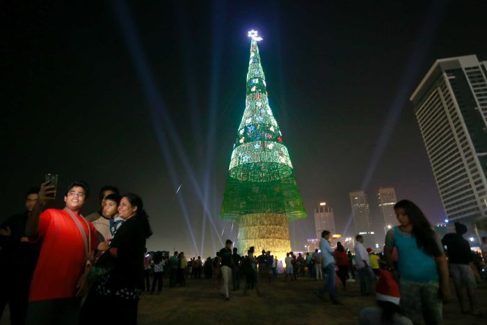 Worlds tallest Christmas Tree