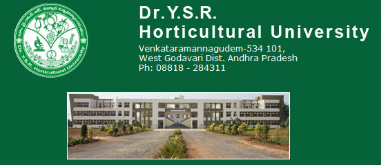 Dr YSR Horticultural University