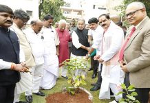 Hara Hai tho Bhara Hai: Radha Mohan Green