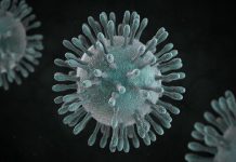 Dont worry it is Corona extra corona virus