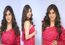 Nabha natesh Pics