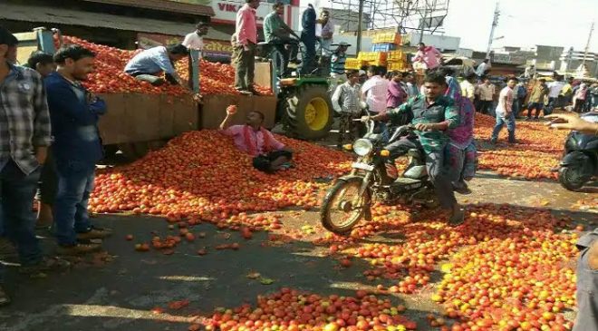 Tomatoes on Roads