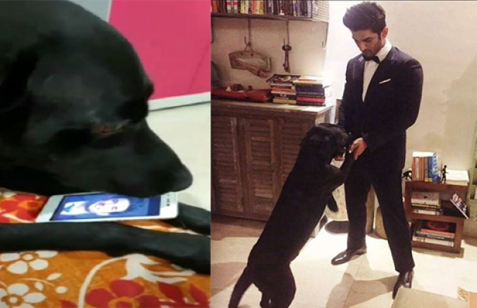 Sushant Singh Rajputs dog Fudge becomes sad