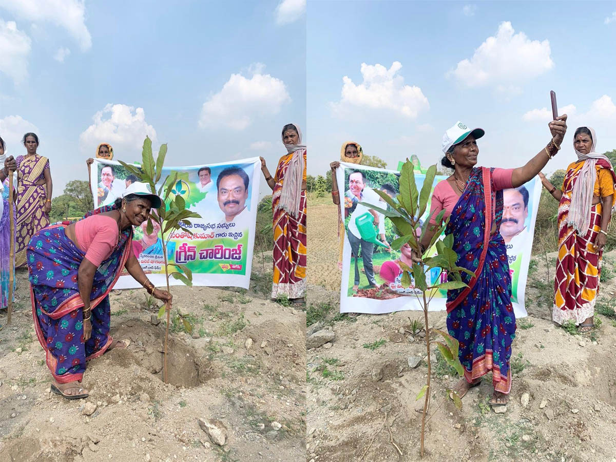 Gangavva planted saplings