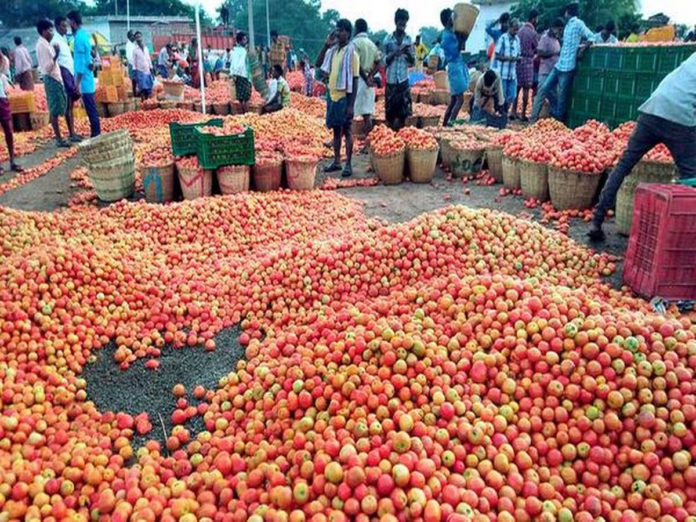 Tomatos