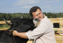 Hug the cows and stay healthy cow