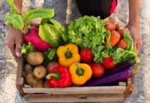 Buy vegetables on your own.. as you like veg