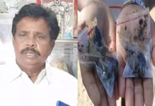 Anandaiah medicine