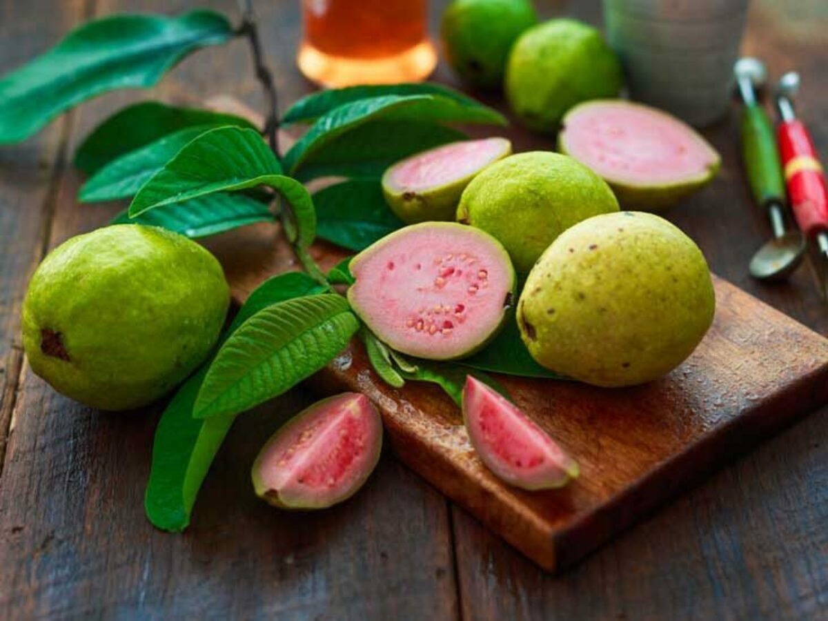 Guava or Jam is the poor man's Vitamin dose - Great Telangaana | English