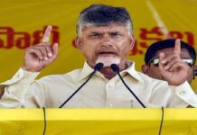 TDP will contest the majority of seats tdp