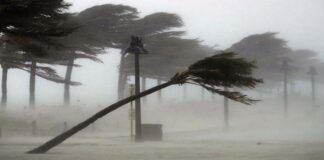 cyclone asani