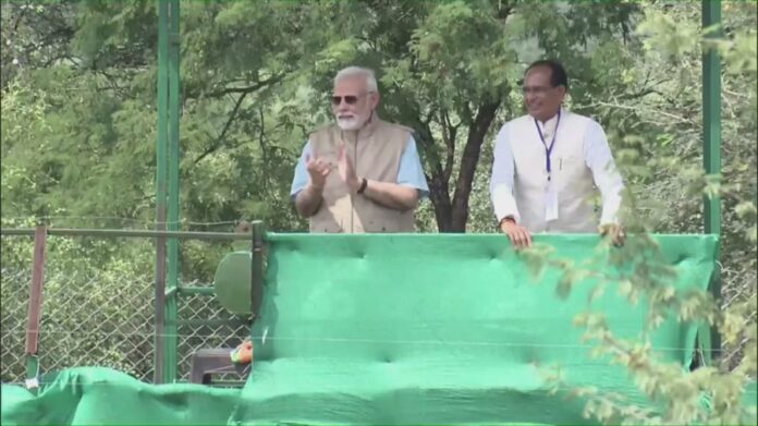 modi modi