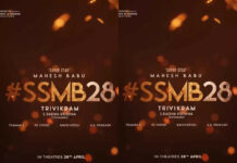 ssmb28