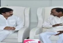 Will Pawan bite the KCR bullet? kcr