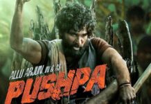 Pushpa completes one year