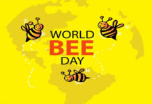 World Bee Day