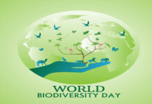 International biodiversity day