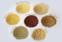 “Millets: A Step towards Biodiversity.”