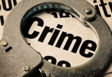 PD act against property offenders
