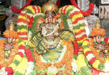 Brahmotsavam for Govindaraja Swamy