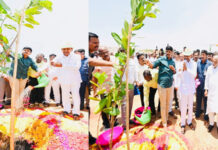 CM KCR plants sapling for WED