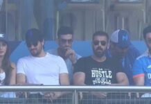 Animal in the stadium