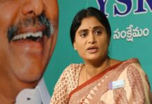 What is in store for Sharmila?