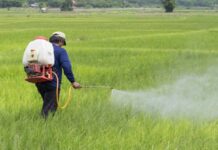 Use Nano Urea