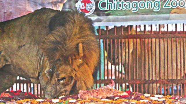  Chittagong zoo 