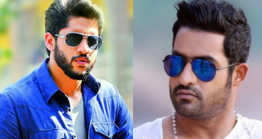 Jr. N.T.R., Naga Chaitanya in a multistarrer?