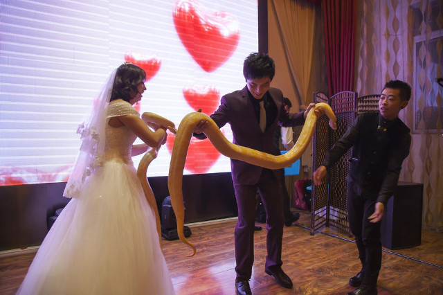 python_wedding