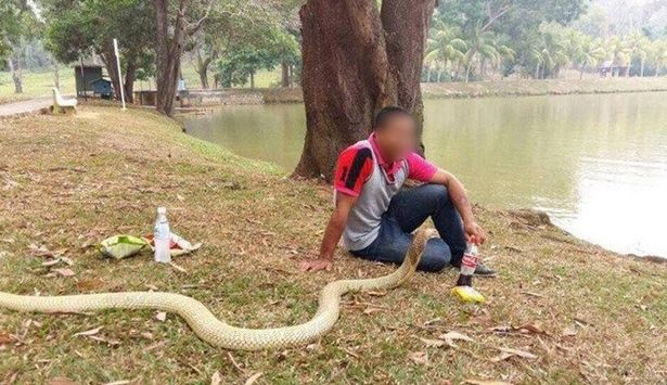 PET SNAKE he believes is his dead girlfriend reincarnated