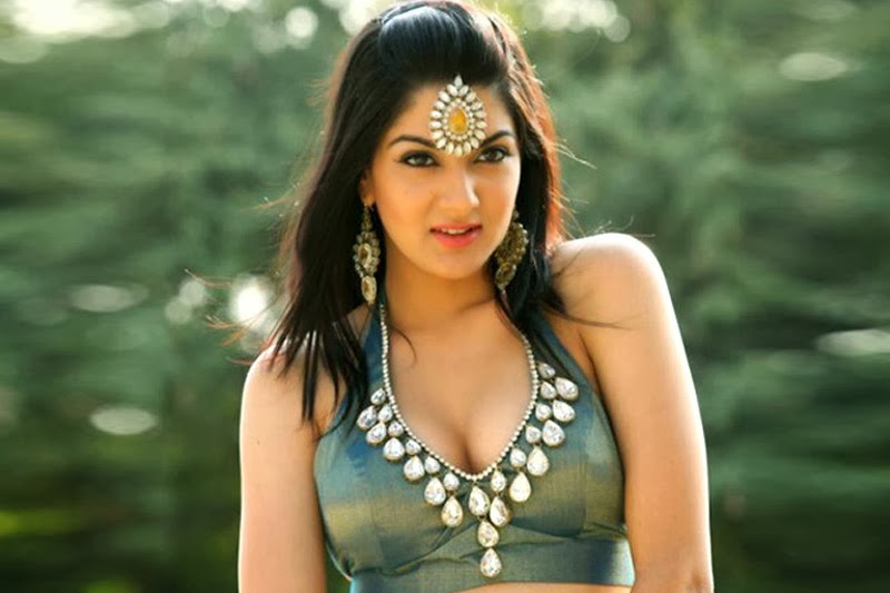 Sakshi Chaudhary Item Song in Gopichand Oxygen