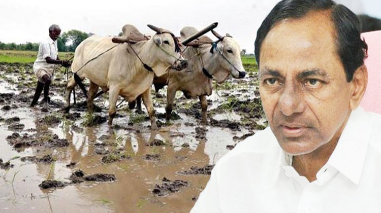 Farmers in Telangana to get 24 hour power 