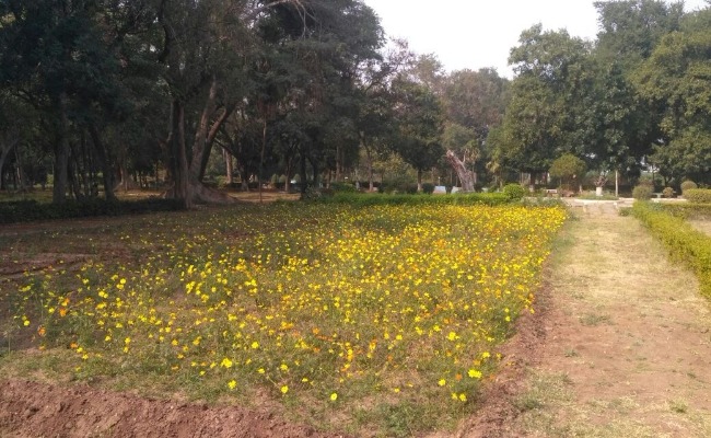 Want to visit this park in Coimbatore? Take your marriage certificate ...