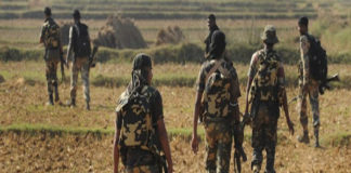 Eight CRPF personnel killed in Sukma district