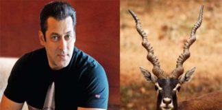 Salman Khan Sentenced To 5 Years In Jail
