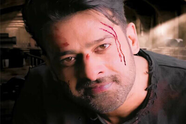 Prabhas Sahoo Movie Shooting in Abu Dhabi