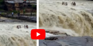 8 people trapped in waterfalls in Shivpuri secured army helicopter