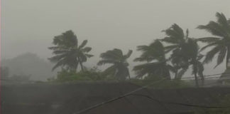 Titli Cyclone Hits AP