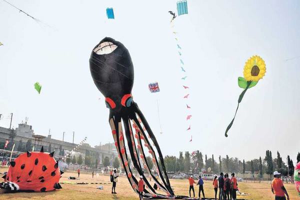 kite Festival