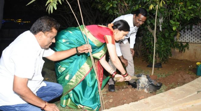 Actress kousalya plants saplings at Saradi studio