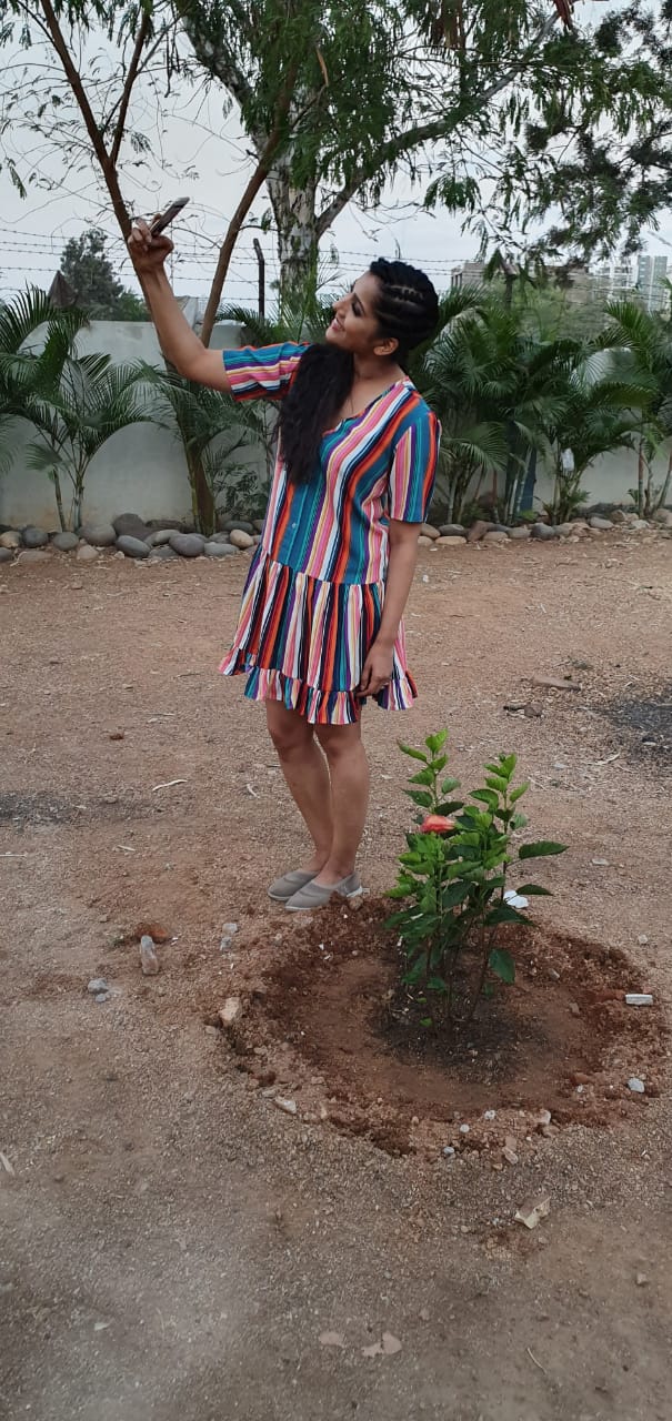 Anchor Rashmi plants saplings