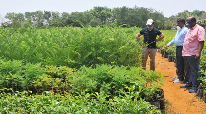 haritha haram