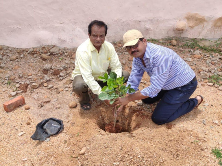 Green Challenge