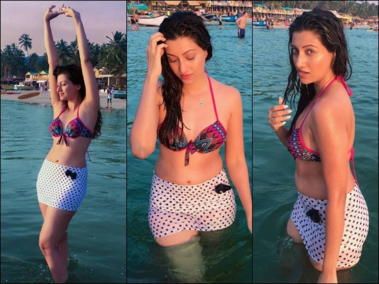 hamsa nandini biggboss4