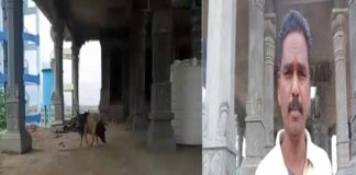 lord balaji temple