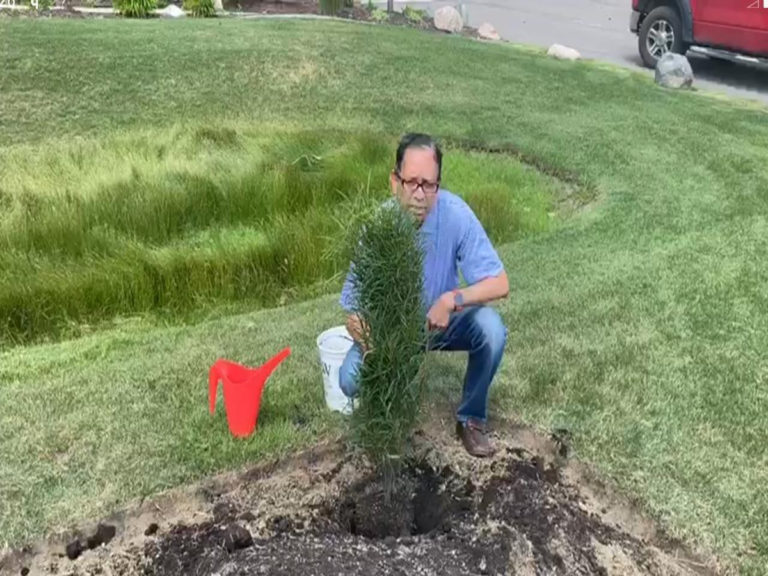 gc