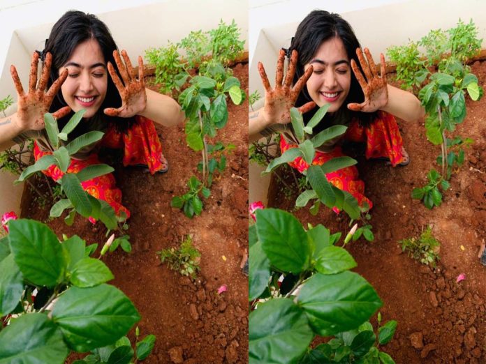 rashmika